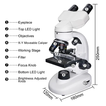 40X-1600X Бинокъла Биологичен Микроскоп с Въртящи се на 360 градуса Глава Оптичен Микроскоп с Подсветка за Студентски Експеримент